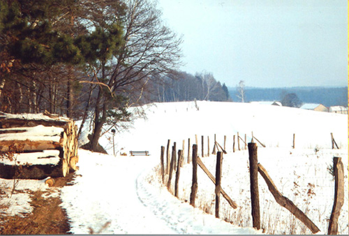 Winterlandschaft im Elbsandsteingebirge